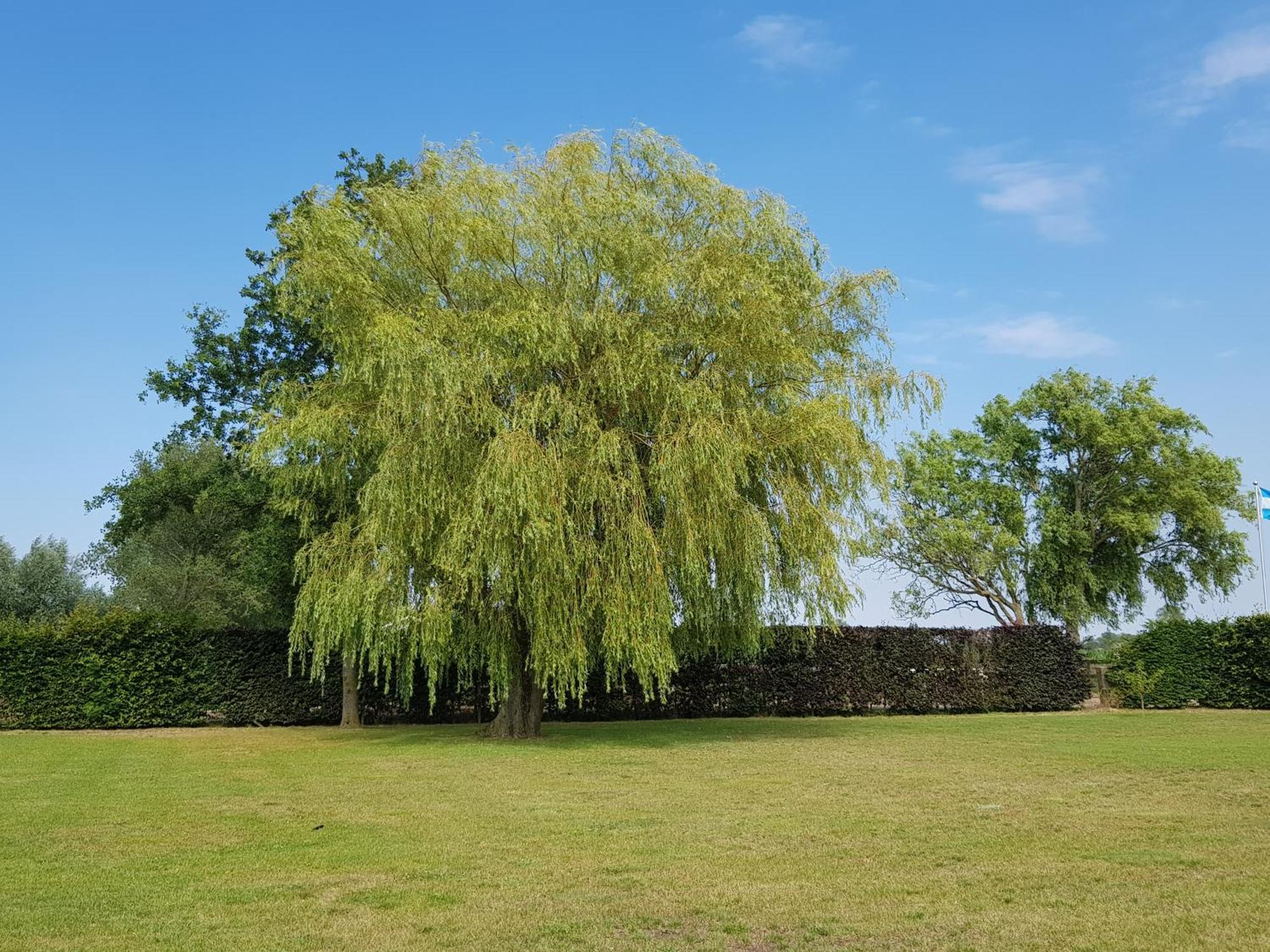 B&B De Vlierbeek Sint-Niklaas Exteriér fotografie